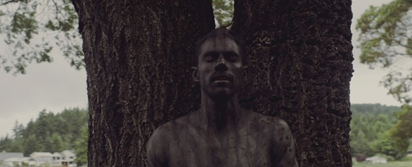 Cover artwork for The Giving Tree