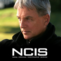 NCIS - In the Dark artwork