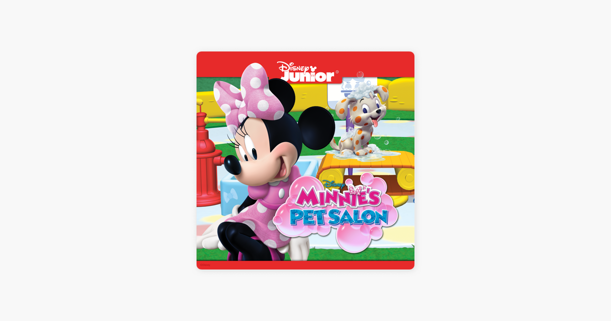 minnie's pet salon toy