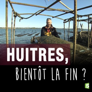 Huîtres, bientôt la fin ? - Episode 1