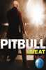 Pitbull: Live at Rock in Rio - Pitbull