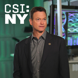 ‎CSI: NY, Season 7 on iTunes