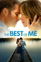 Michael Hoffman - The Best of Me artwork