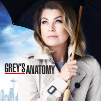 Grey's Anatomy - Grey's Anatomy, Season 12 artwork
