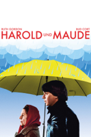 Hal Ashby - Harold und Maude artwork