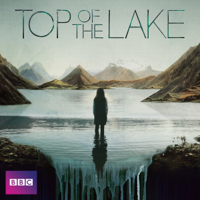 Top of the Lake - Top of the Lake artwork