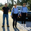 Under the Dome, Season 2 - Under the Dome