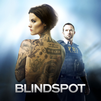 Blindspot - Blindspot, Staffel 1 artwork