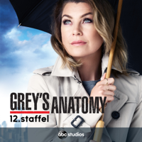 Grey's Anatomy - Grey's Anatomy, Staffel 12 artwork