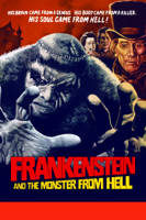 Terence Fisher - Frankenstein and the Monster from Hell artwork