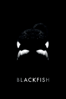 Gabriela Cowperthwaite - Blackfish (字幕版) アートワーク