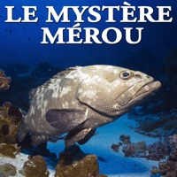 Télécharger Le mystère mérou Episode 1