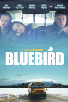 Lance Edmands - Bluebird (2013) artwork