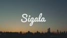Give Me Your Love (feat. John Newman & Nile Rodgers) - Sigala