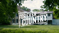 Artists Of Then, Now & Forever - Forever Country artwork