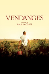 Vendanges