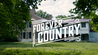 Artists Of Then, Now & Forever - Forever Country artwork