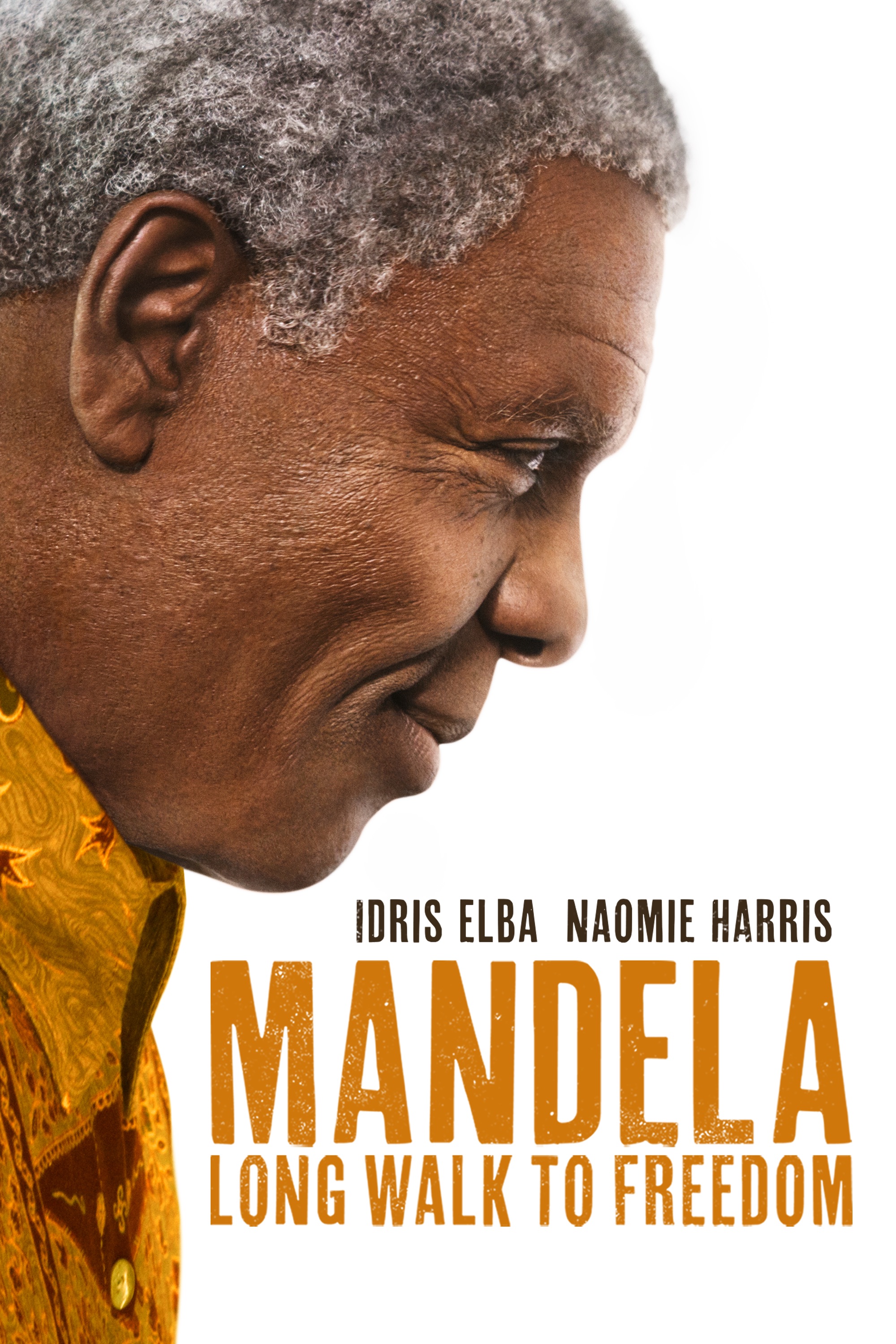 Mandela: Long Walk to Freedom Poster