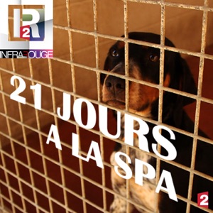 Infrarouge : 21 jours à la SPA - Episode 1