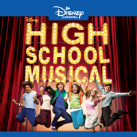 High School Musical - High School Musical artwork