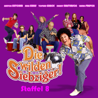 Die wilden Siebziger - Die wilden Siebziger, Staffel 8 artwork