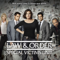 Law & Order: SVU (Special Victims Unit) - Law & Order: SVU (Special Victims Unit), Season 15 artwork