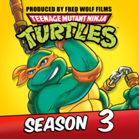 Teenage Mutant Ninja Turtles (Classic Series) - Teenage Mutant Ninja Turtles (Classic Series), Season 3 artwork