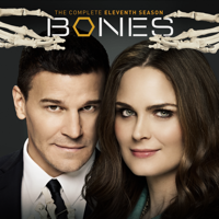 Bones - Bones, Season 11 artwork