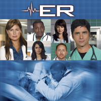 ER - ER, Season 14 artwork