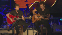 Peter Maffay - Wildnis (Live @ Zenith) artwork