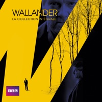 Télécharger Wallander, La collection intégrale (VF) Episode 11
