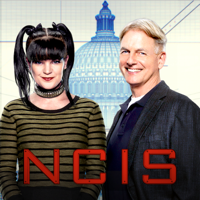 NCIS - NCIS, Season 14 artwork