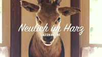 Jazzkantine - Im Frühtau zu Berge artwork