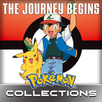 Pokémon: The Journey Begins! - Pokémon: The Journey Begins! artwork