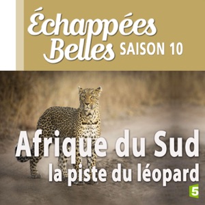 Afrique du Sud, la piste du léopard - Episode 1