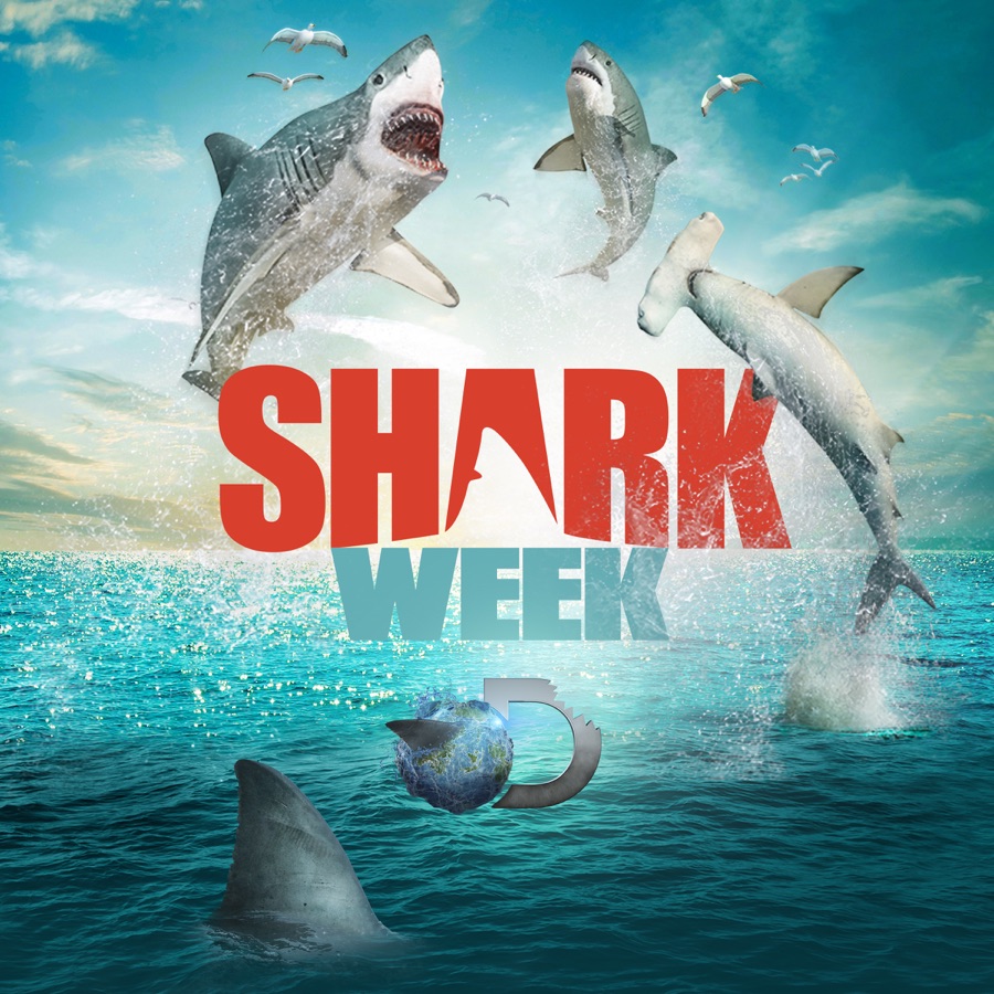Shark Week 2014 - Friendship, Tennessee - Ocean Facebook
