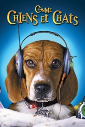 Comme chiens et chats