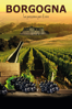 Borgogna: la passione per il vino - Rudi Goldman