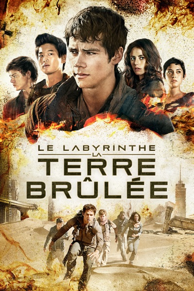 TÉLÉCHARGER LA TERRE BRULÉE FILM