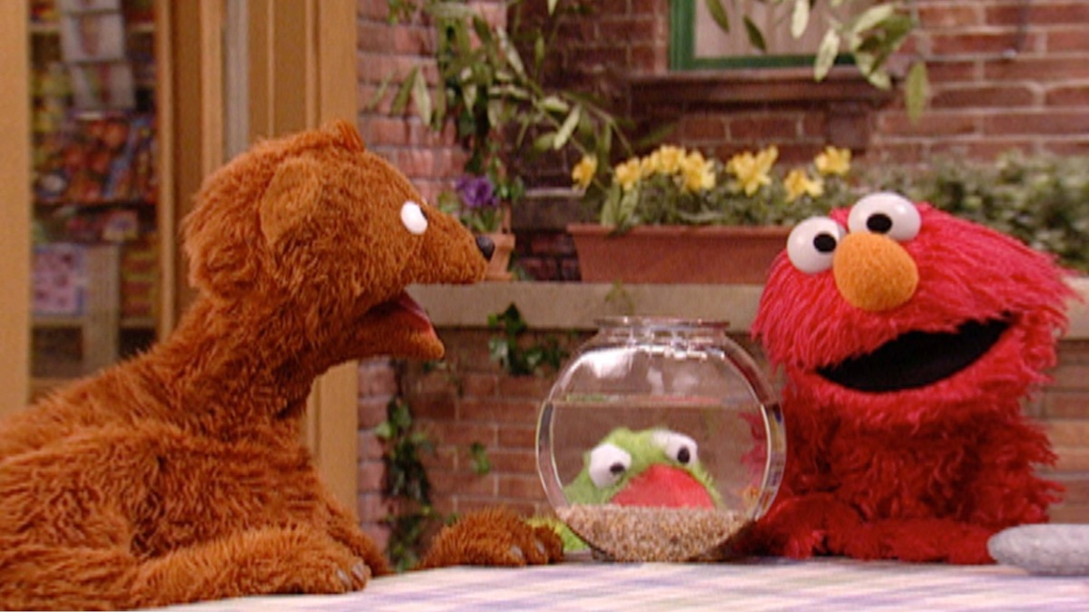 Who Has the Best Pet in the World? - Sesame Street (Season 35, Episode ...