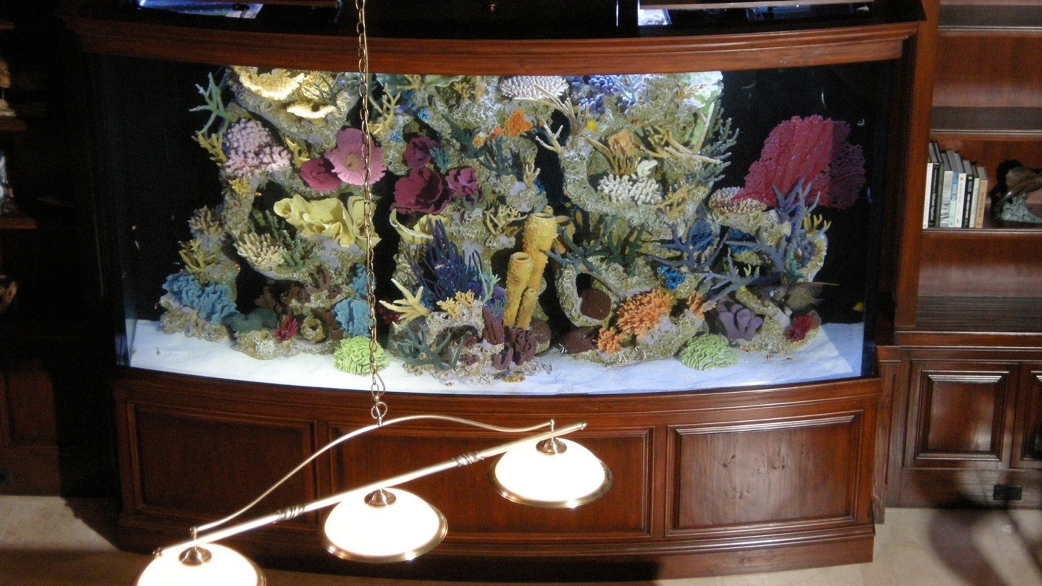 Fish Tank Kings Apple TV