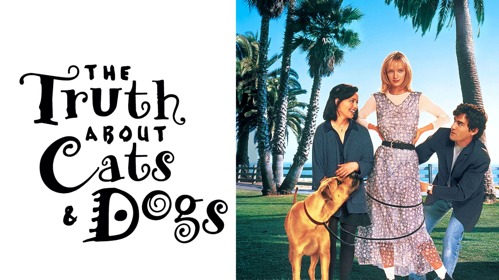 The Truth About Cats & Dogs Apple TV