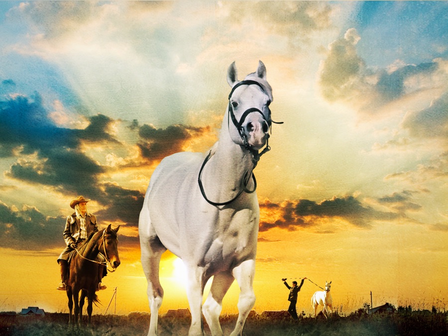 Riding Tornado Apple TV